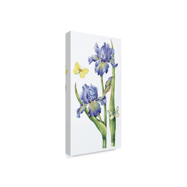 Janneke Brinkman-Salentijn 'May Iris' Canvas Art,10x19